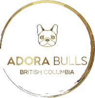 AdoraBulls British Columbia
